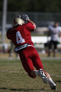 开云·Kaiyun网页版-法甲球队防守战术调整后定位球防守成功率提升分析，法国防守